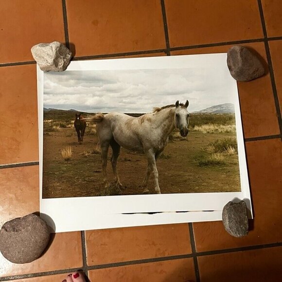 Janine Gordon Photograph 20x24" C-print Edition 2 Horses Marfa Texas Signed - Picture 3 of 6